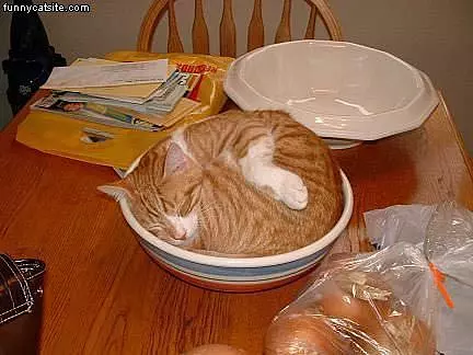 Bowl Bed