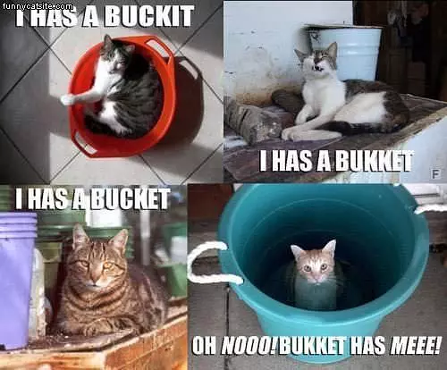 Bucket