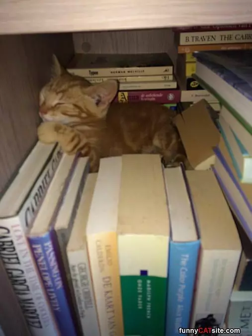 Behind The Books