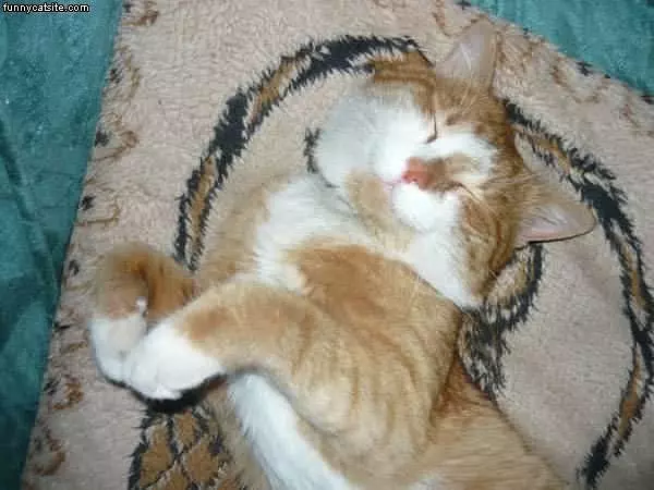 I Sleep Funny
