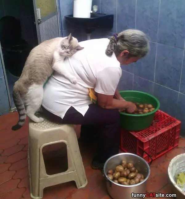 I Loves You Human