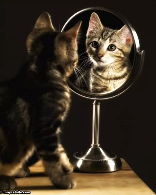 Mirror Mirror