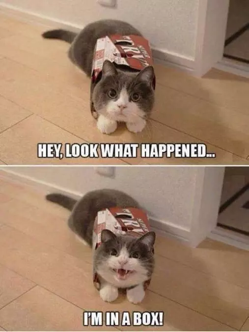 Look What Happened