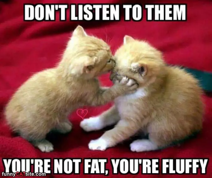 Dont Listen To Them
