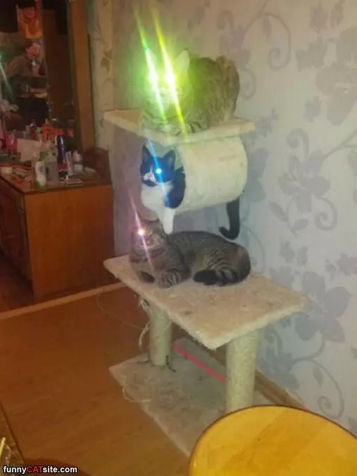 All The Lasers Charged