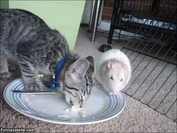 Sharing Our Breakfast