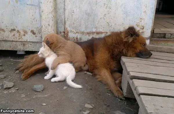 Lets Be Friends