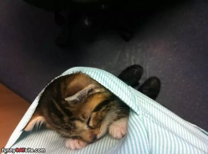 Perfect Place For Sleep