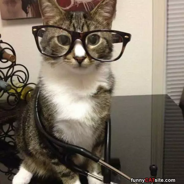 Do These Make Me Look Smart