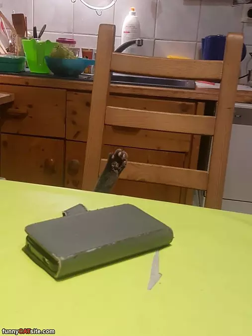 Give Me Five