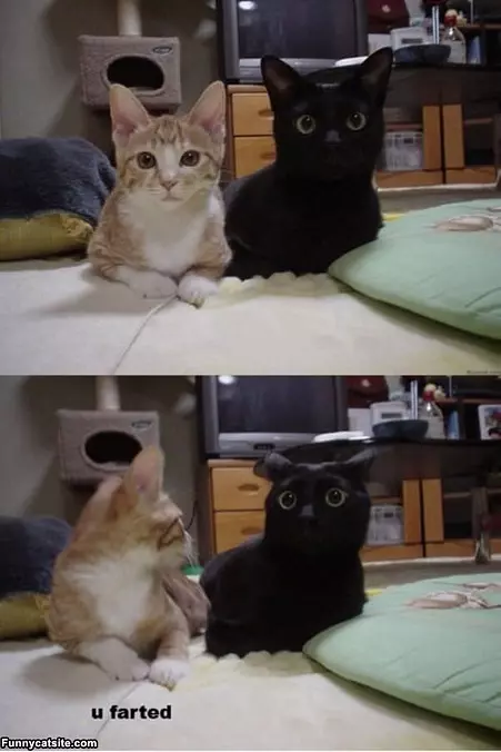 Why