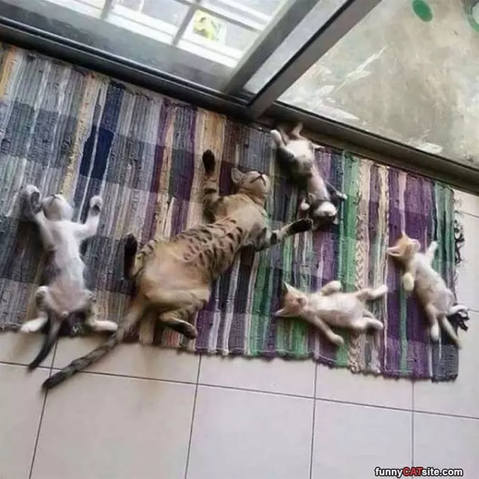 We Are All Passed Out