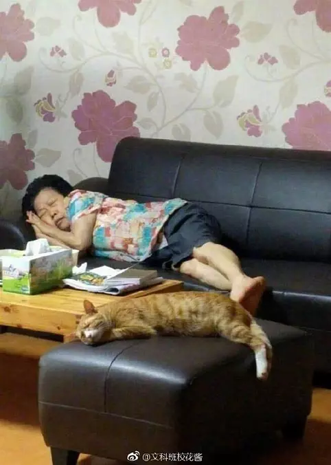 We Are Napping