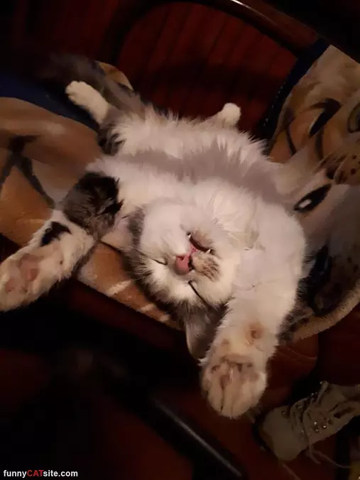 Asleep On My Back