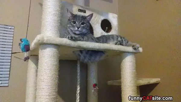 Just Relaxed Here