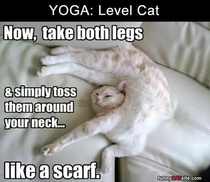Now Take Both Legs