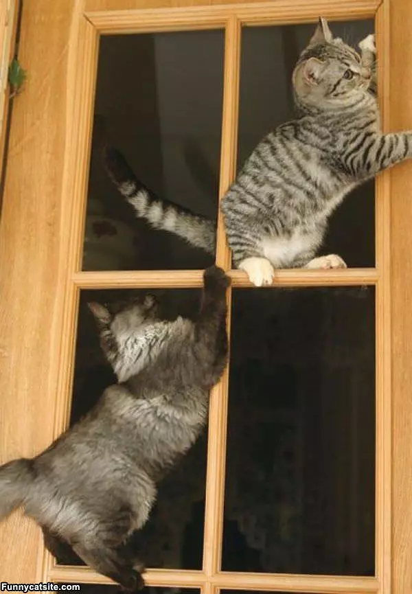 Playing With Windows