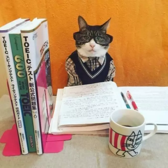 Studying Hard