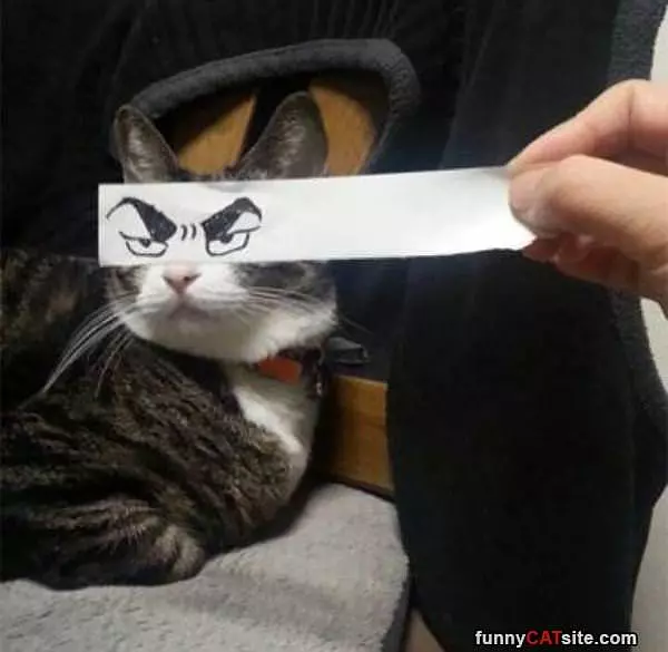 Making Me Angry