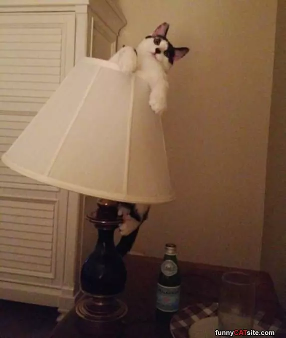 I Am A Lamp
