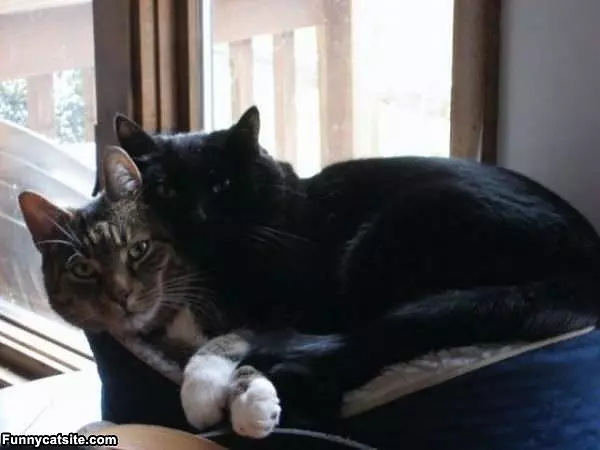 Hugs Time