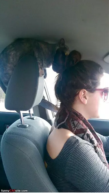 Going For A Ride
