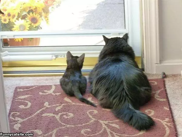 Big And Little