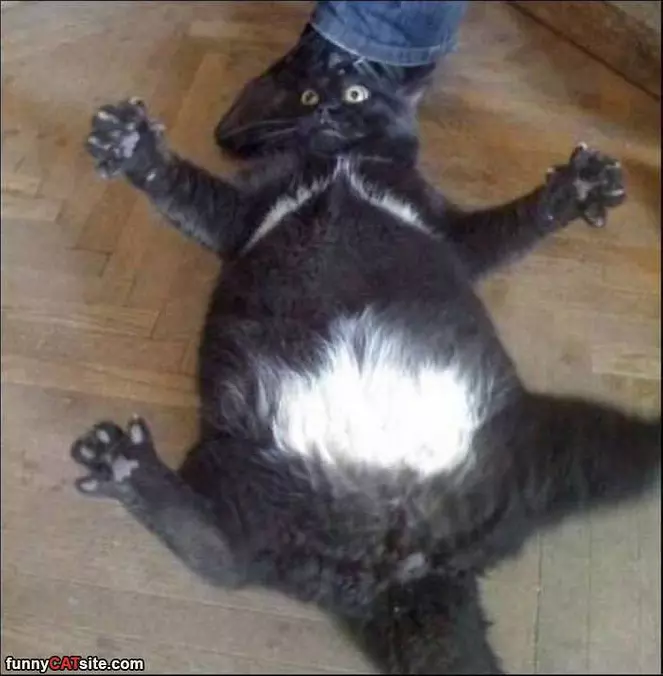 Arghhhhh