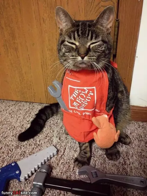 How Can I Assist