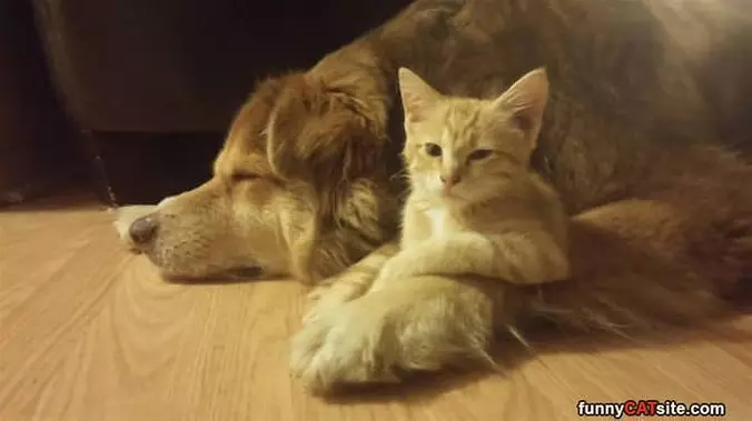 Me And My Warm Buddy