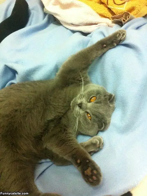 I Am This Big