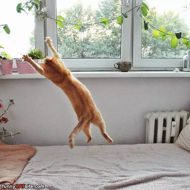 Jump Save
