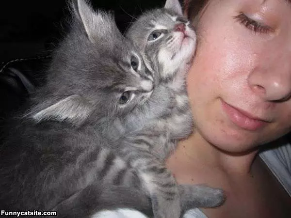 Neck Warmers
