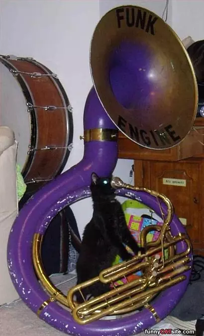 Playing Some Music