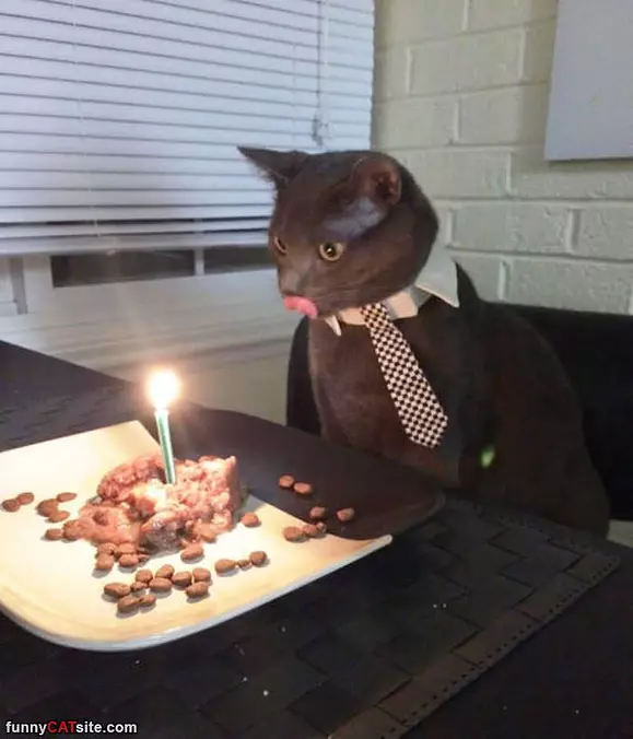 This Is An Awesome Birthday