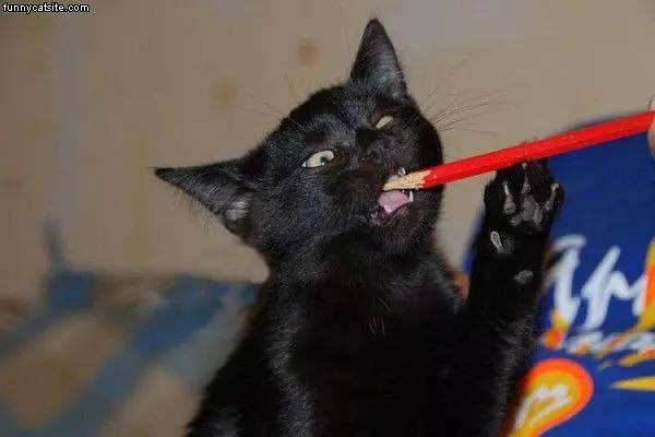 I Has A Pencil