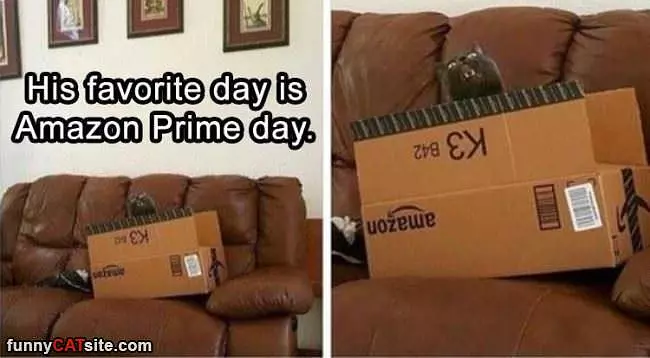 Amazon Prime Day