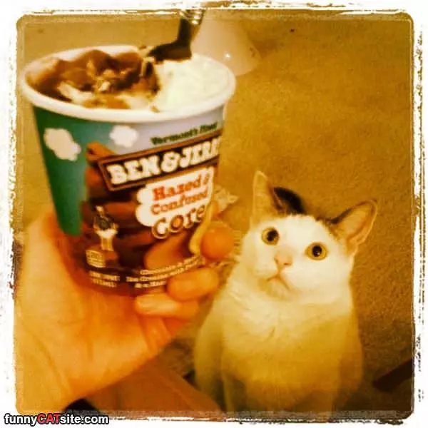 Yes I Want Some