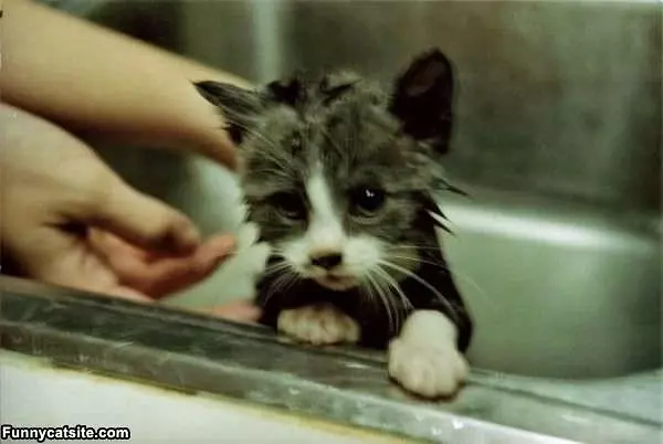 I Hates Bath Time