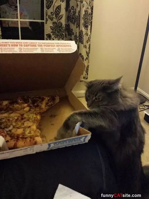 Is That A Piece Of Bacon
