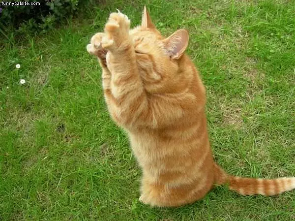 Nose Itch