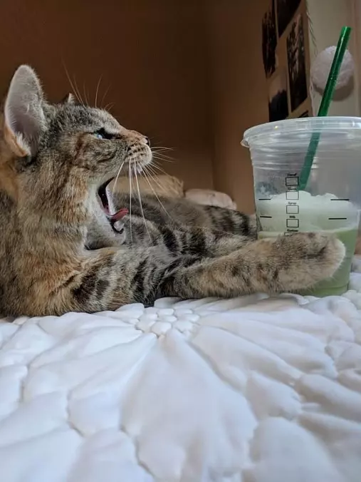 Yawnnnnnnnnnn