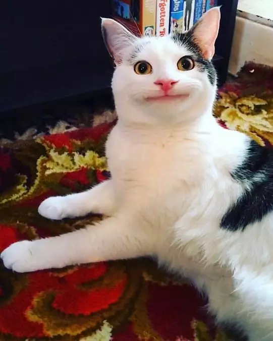 I Has A Huge Smile