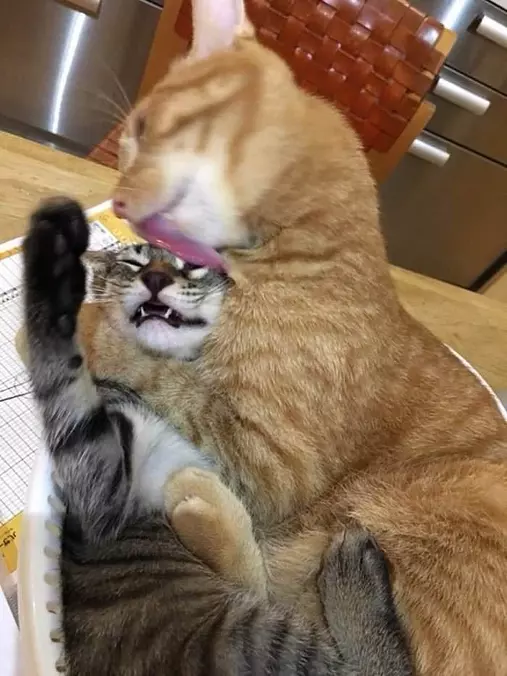 Big Kisses