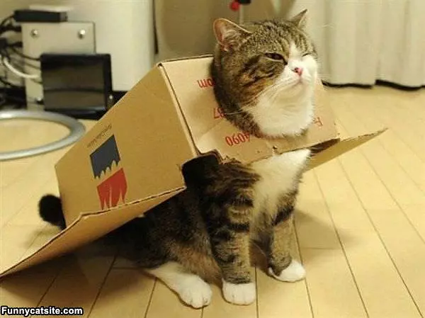 This Is My Cape