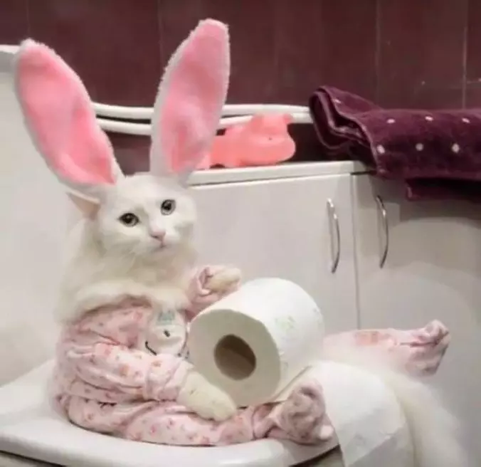 Sitting Around With Some Toilet Paper