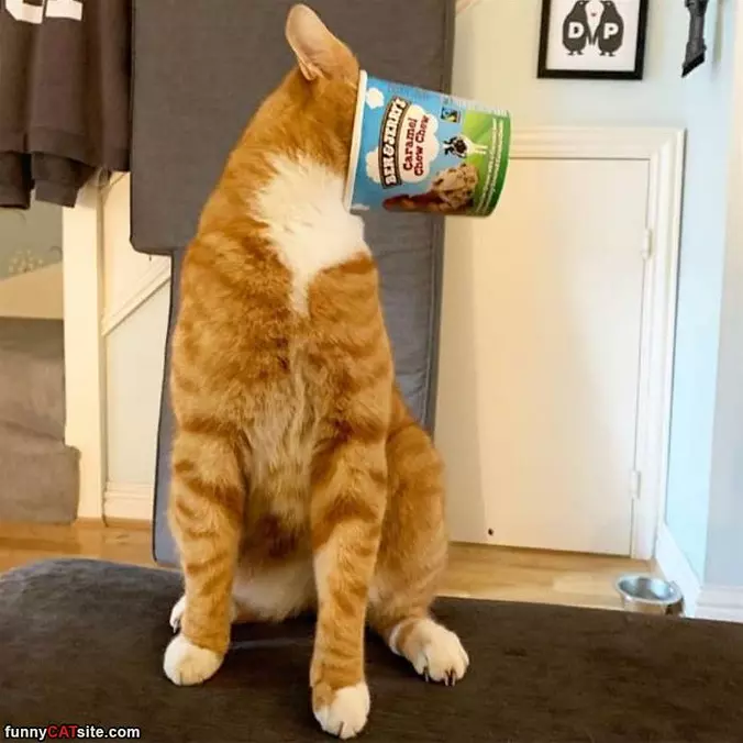 Face Stuck
