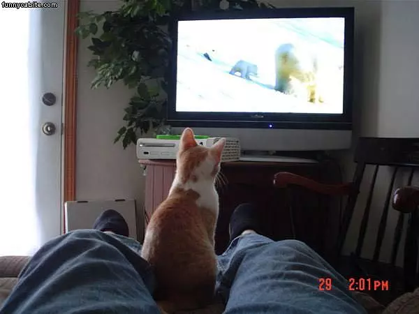 Alix Watching Some Tv
