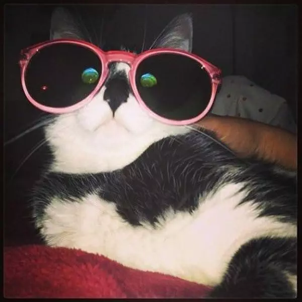 What Big Glasses You Have