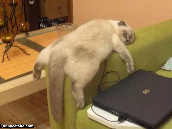 As Relaxed As I Can Get